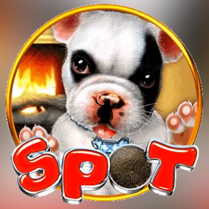 GMW-Slots